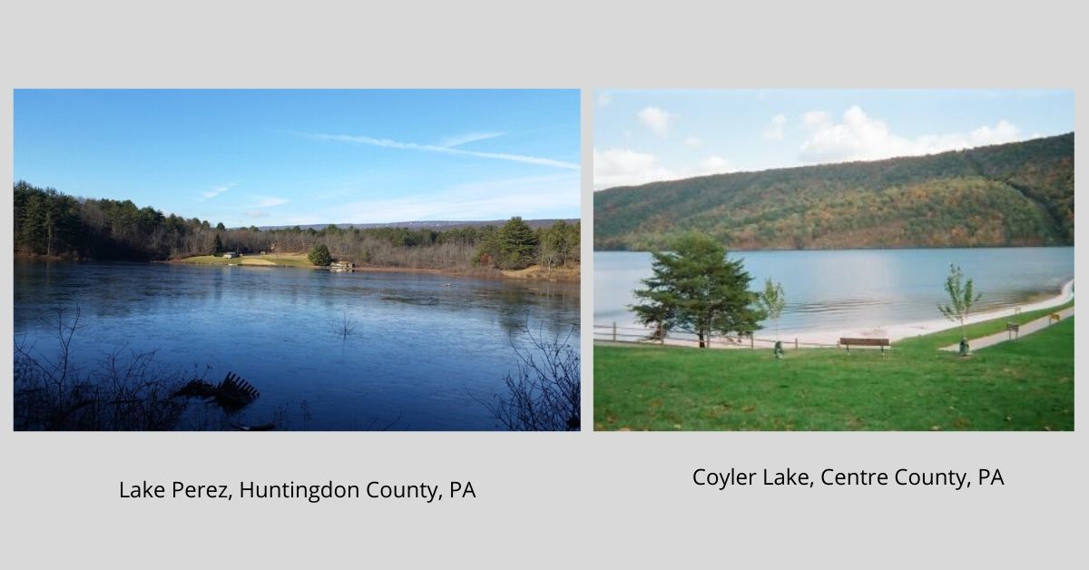 Lake Loons_2019.jpg